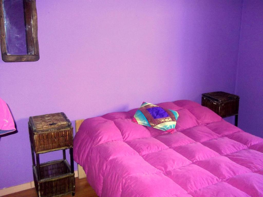 Cabanas Pehuenia Albergue El Bolsón Habitación foto